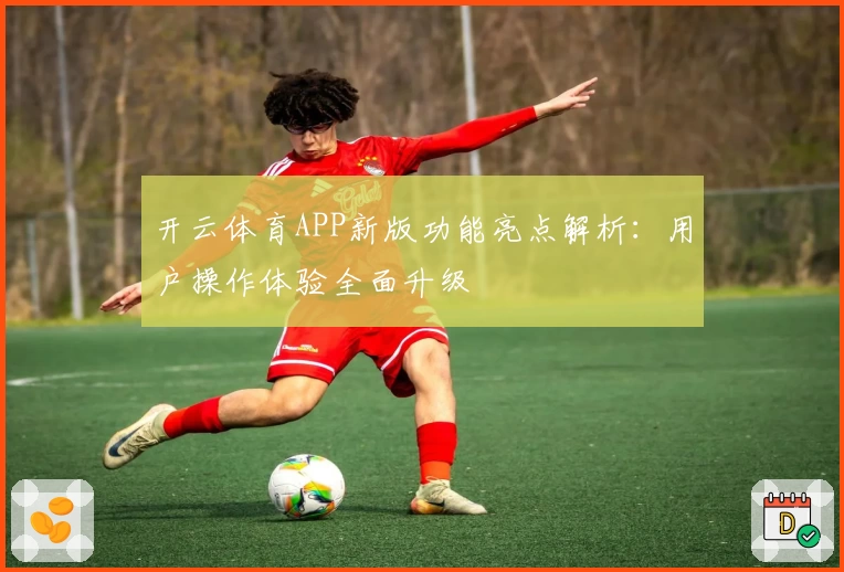 开云体育APP新版功能亮点解析：用户操作体验全面升级